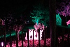 DSCF1596